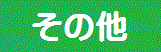 ̑ʐ^